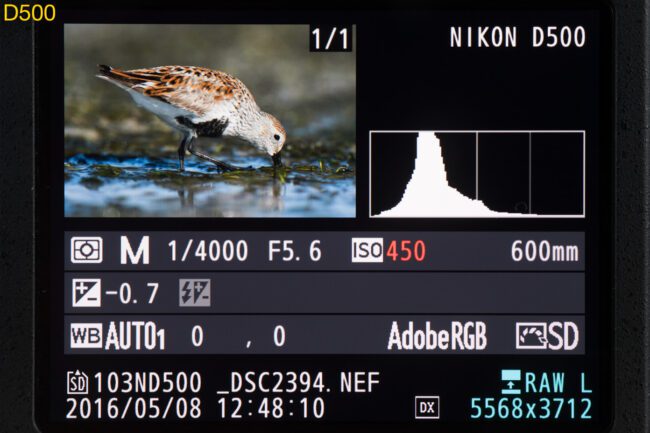 D500 monitor image details