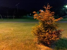 Low-light samples, main camera, 12MP, HDR Auto - f/1.8, ISO 1713, 1/20s - Asus Zenfone 6 review